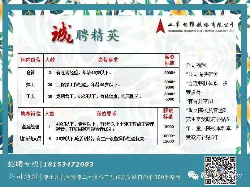 德化最新招聘信息全面解析
