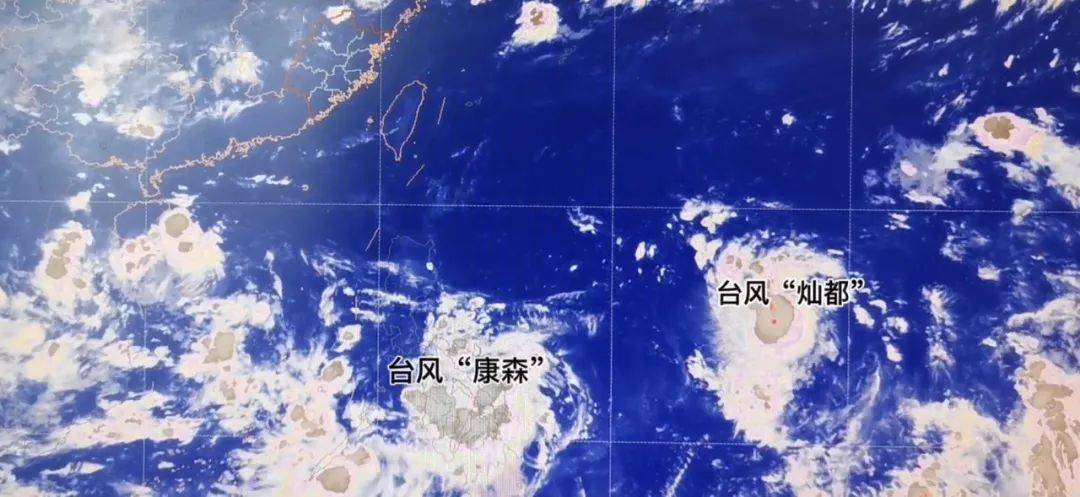 最新台风孔雀来袭，影响及应对策略