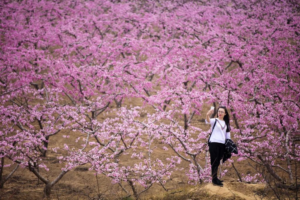 引领电影风潮的新纪元，2017最新大片大赏