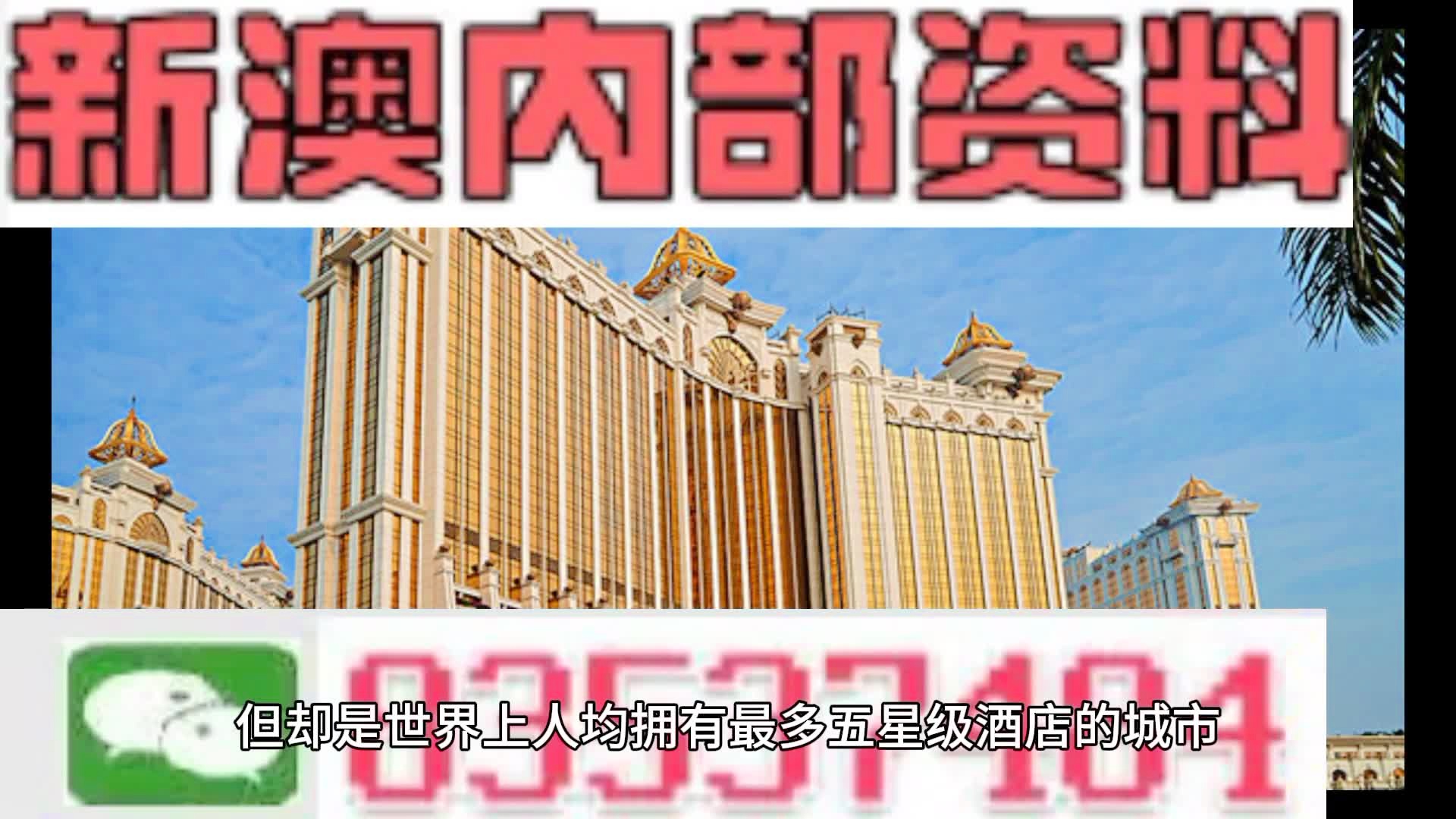 新澳门内部猛料今晚,准确资料解释落实_专家版59.874