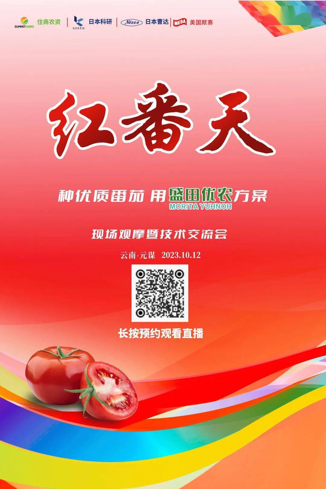 红番阁最新动态，引领时尚潮流，探索前沿新风尚