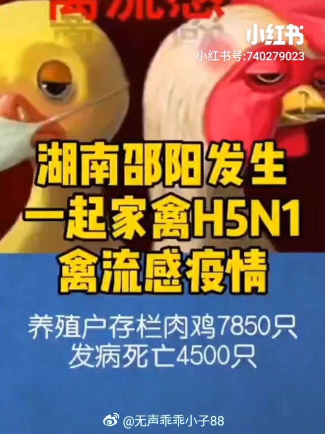 跃翰